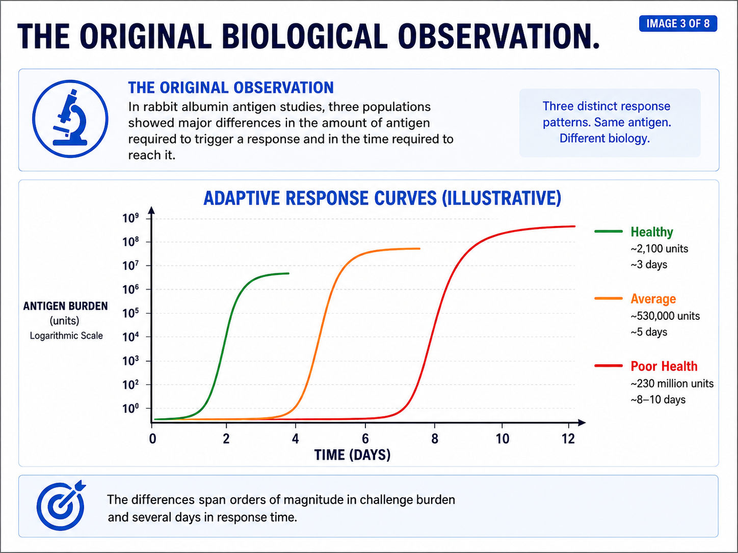 Adaptive response curves comparing healthy, average, and poor-health groups after exposure to benign rabbit albumin, showing large differences in both challenge level and response time.