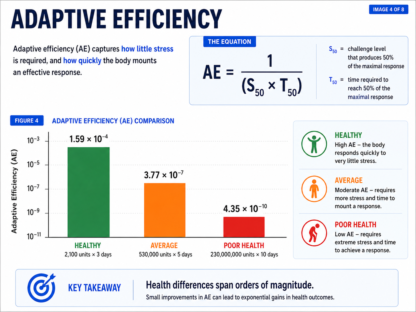 Adaptive Efficiency comparison showing how health differs according to the amount of biological challenge required and the time needed to mount a response. Description: