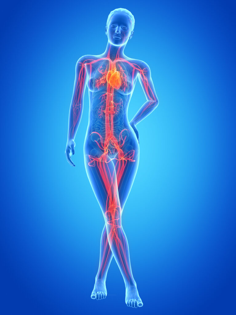Myth of health experts– Image of the complexity of a female body