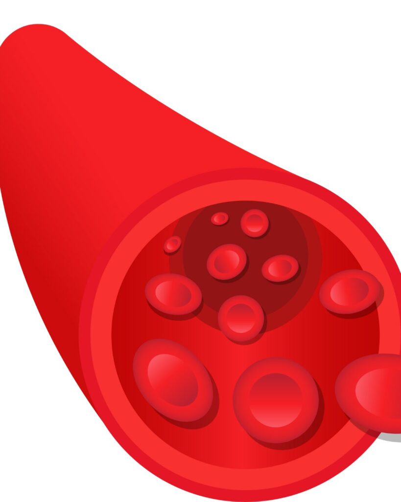 The Traits of Healthy People 3 Graphic of dynamic tissue expansion and contraction. Healthy tissues pump nutrients in and waste out efficiently, with flexible volume changes, while unhealthy tissues appear stiff and less responsive.