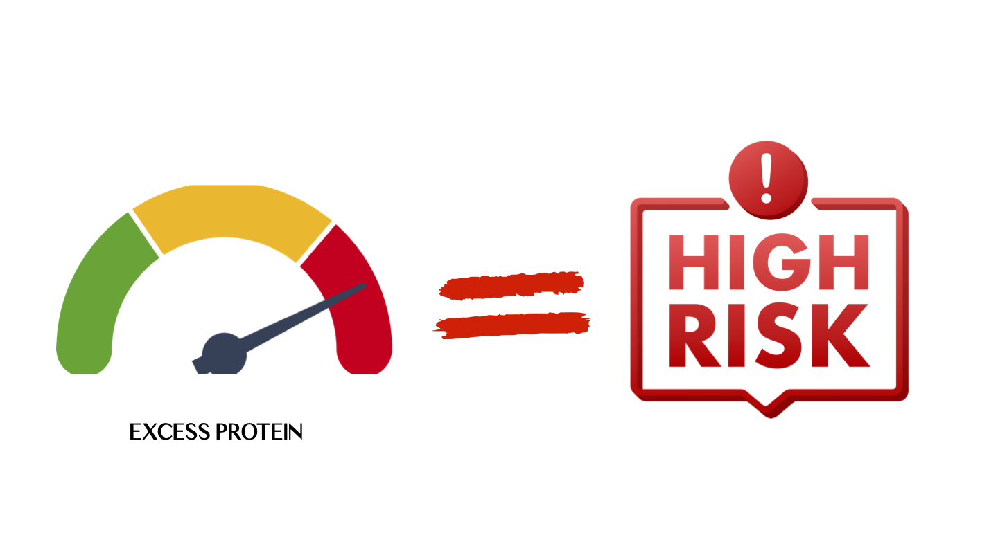 The Truth About Protein: Myths, Facts, and What Your Body Really Needs 10 Infographic warning of health risks of excess protein, including heart disease, kidney strain, and fat storage.