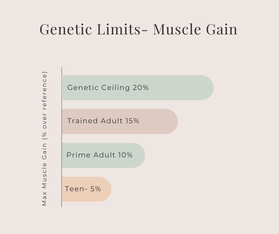 The Truth About Protein: Myths, Facts, and What Your Body Really Needs 9 Graphic on genetic limits to muscle addition