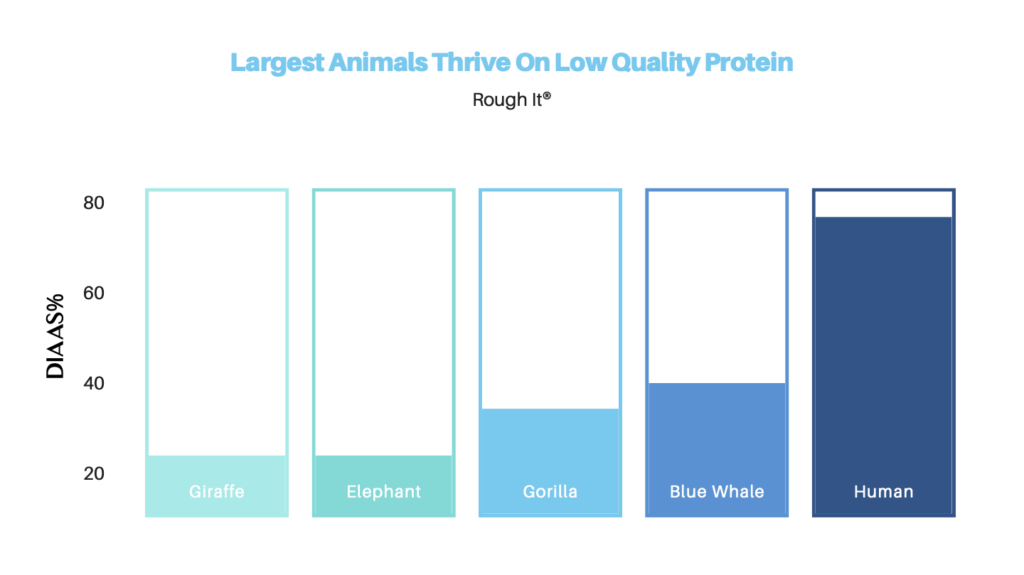 The Truth About Protein: Myths, Facts, and What Your Body Really Needs 6 Chart showing giraffe, elephant, gorilla, blue whale, and human with low DIAAS protein diets.