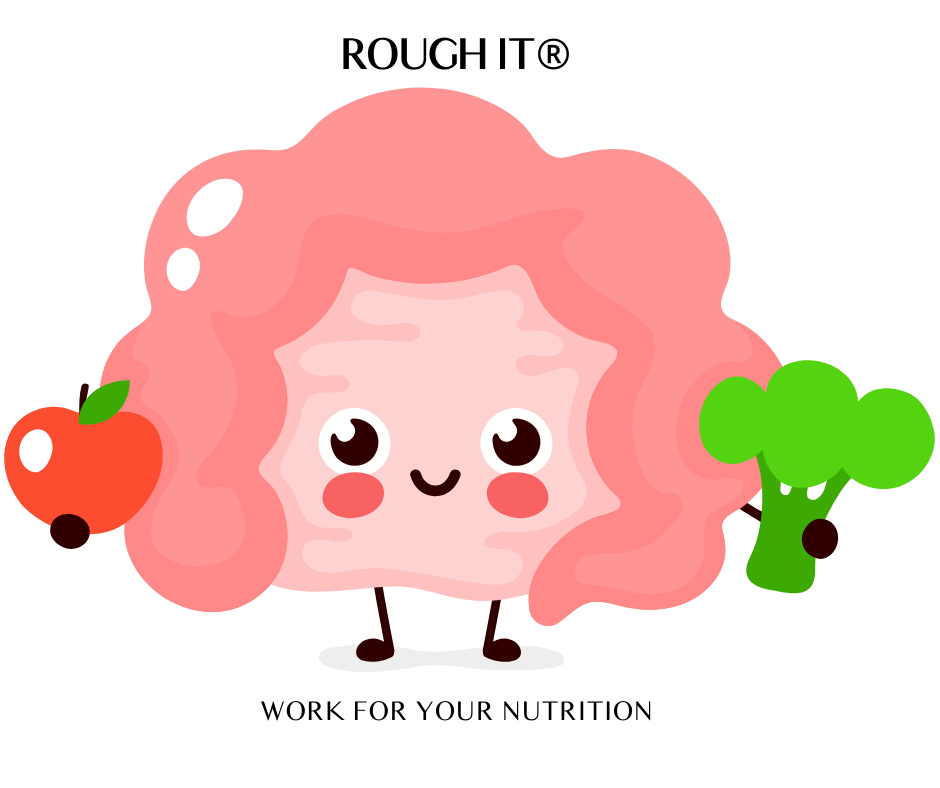 Colon illustration with an apple and broccoli; overlaid text reads “Rough It® — Work Hard for Your Nutrition.” Emphasizes fiber and gut health.