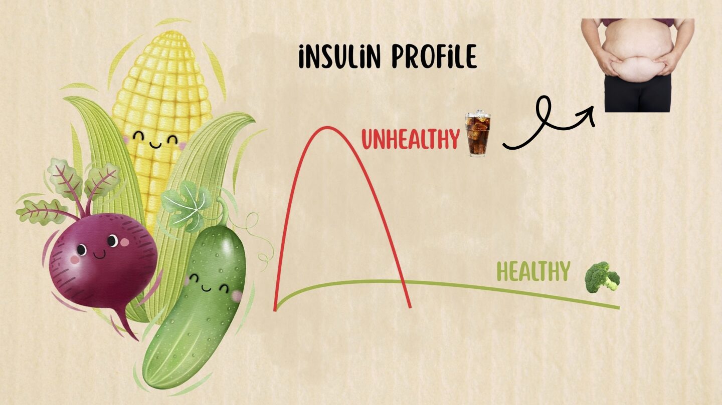 Diagram showing how excess carbohydrate intake leads to an insulin spike that triggers fat synthesis and storage in adipose tissue.