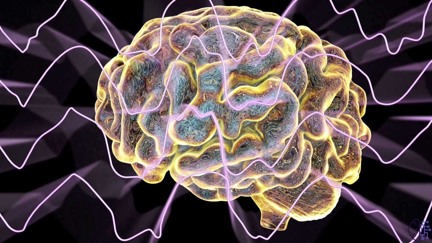 Cross-section illustration of a brain neuron highlighting phospholipid-rich cell membranes that support communication and cognitive function.