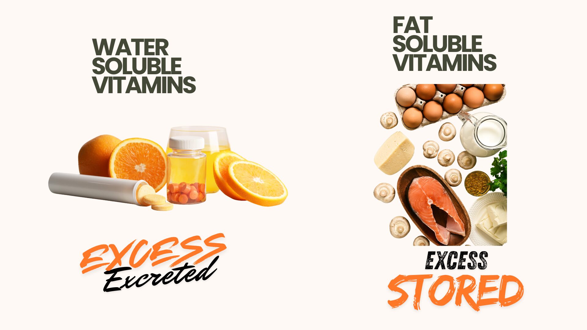 Side-by-side comparison showing water-soluble vitamins B and C being excreted by the kidneys, while vitamins A, D, E, and K accumulate in the liver and fat tissue.
