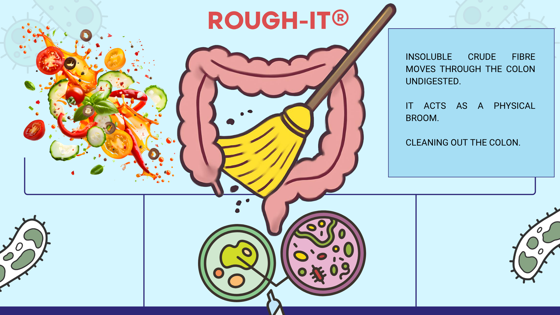 Colon illustration with fiber-rich whole foods demonstrating the Rough It® principle of insoluble fiber increasing bulk and helping move waste through the colon.