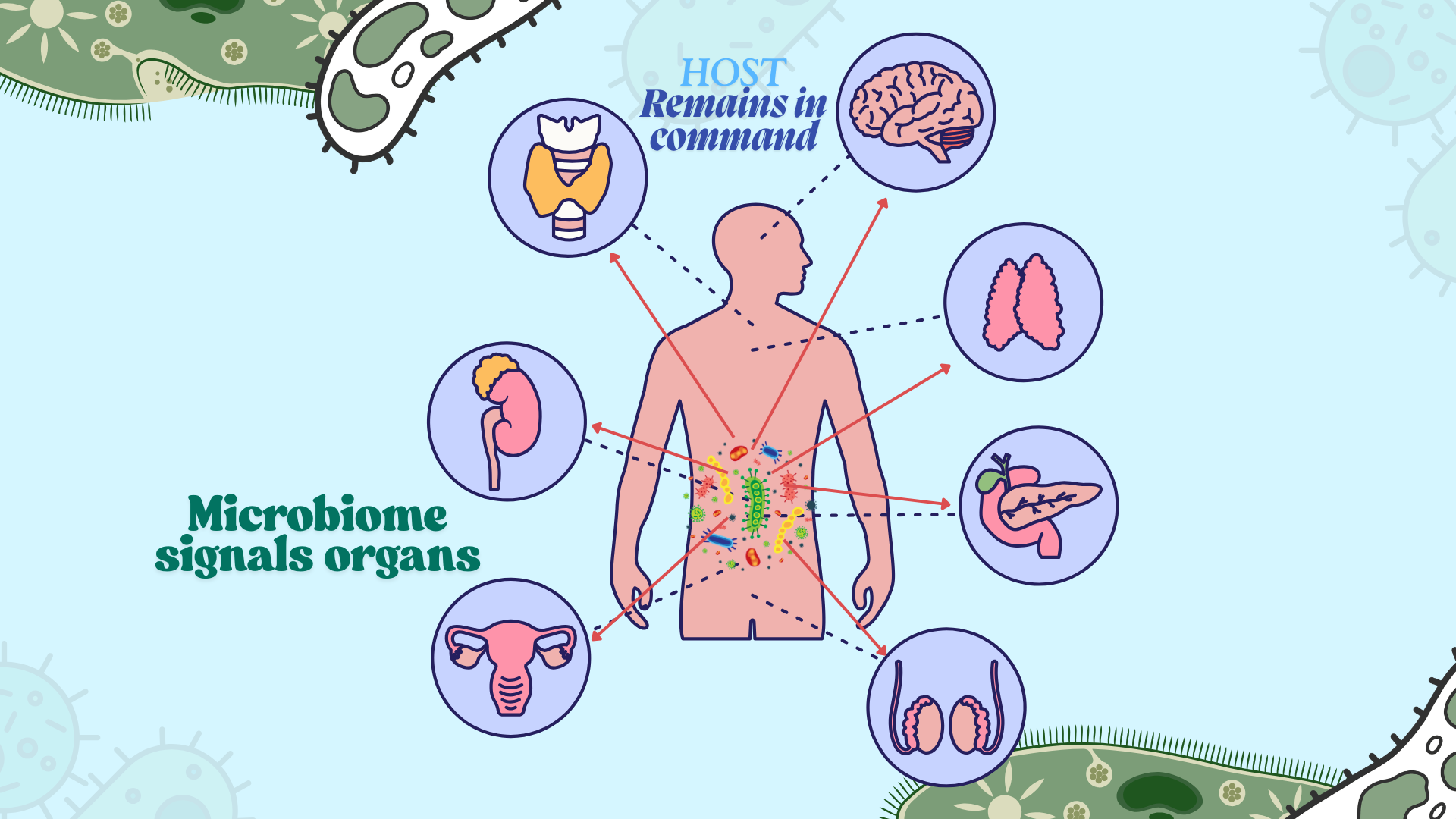 The Microbiome Is a Signal — Not the Operating System - Dr. Bomi Joseph