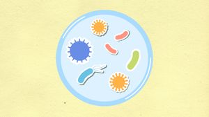 The Hidden World Within Us: What the Gut Microbiome Actually Does 16 From above of decorative cardboard applique of round shaped cell with various microbes and viruses on yellow background