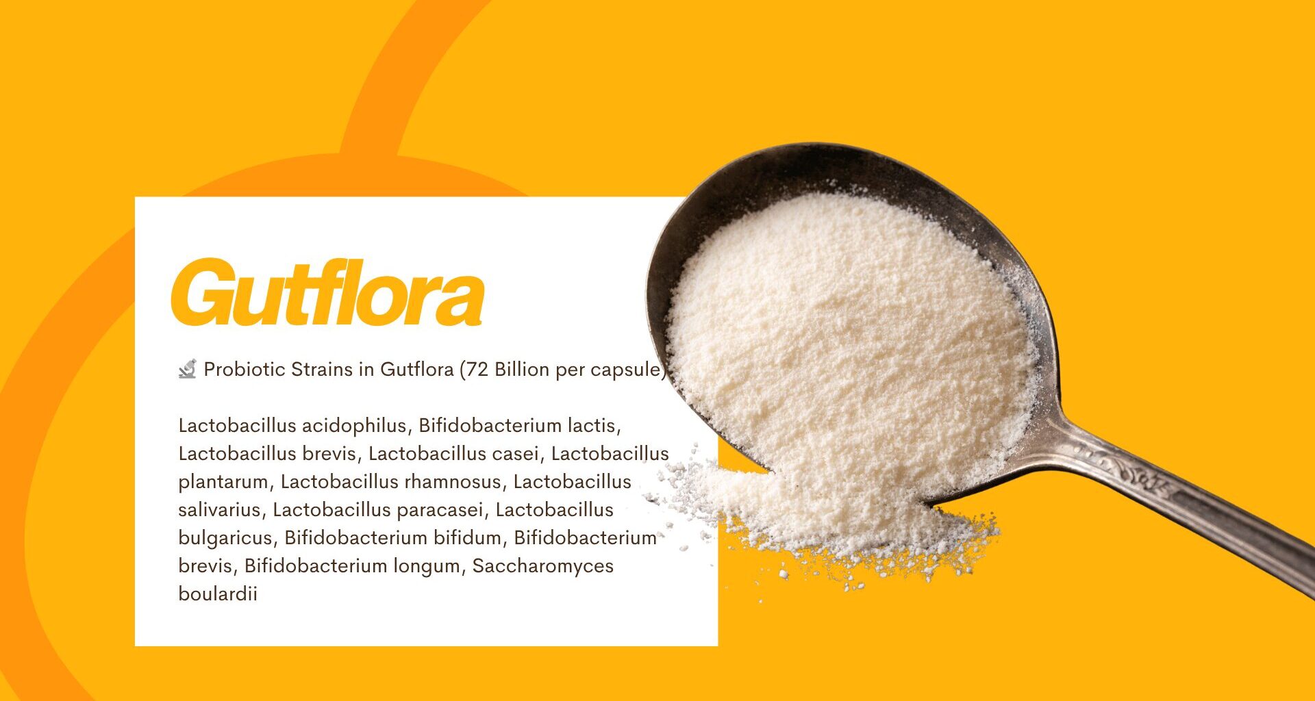 A spoonful of freeze-dried Gutflora probiotic powder on a yellow background.
